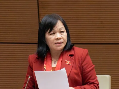 "Có vùng, có gia đình vừa thoát nghèo, chỉ sau một trận lũ có thể trở lại nghèo"