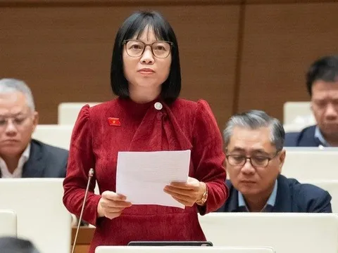 Từ phát biểu của đại biểu quốc hội Nguyễn Thị Việt Nga