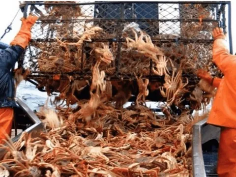 Nghề "hot" đi làm 5 ngày/năm bỏ túi 2,5 tỷ đồng, cực kì thiếu người làm