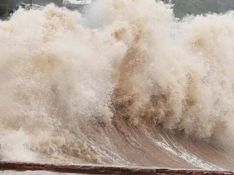 Xuất hiện áp thấp mới mạnh lên từng giờ, dự báo đường đi 24 giờ tới