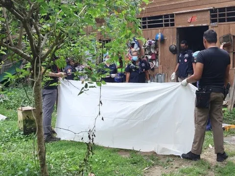 Bi kịch từ đàn khỉ hoang: Một người thiệt mạng, cả làng náo loạn