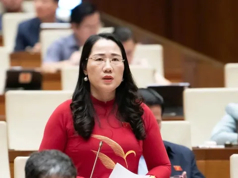 Kiến nghị liên tục mở đợt cao điểm trấn áp các loại tội phạm lừa đảo, dụ dỗ việc nhẹ lương cao