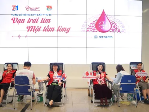 Tuần lễ hồng EVN lần thứ XI: trách nhiệm và sẻ chia