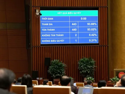 Thông qua Luật Phòng bệnh, nghiêm cấm hành vi giả mắc rối loạn tâm thần để trục lợi