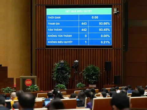 Đà Nẵng được trao thêm cơ chế đặc thù về khu thương mại tự do, thúc đẩy TOD