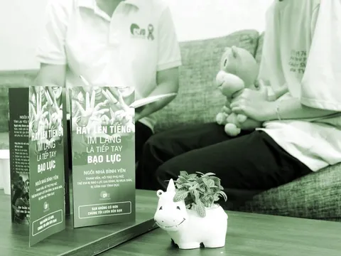 Bạo lực gia đình còn nhiều phức tạp