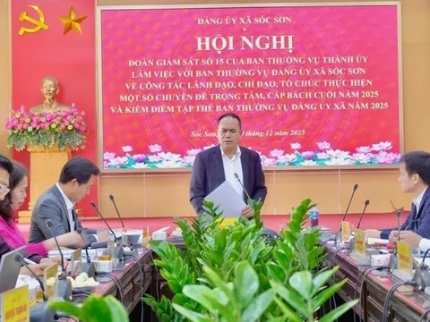 Đoàn giám sát số 15 của Ban Thường vụ Thành ủy Hà Nội làm việc với xã Sóc Sơn