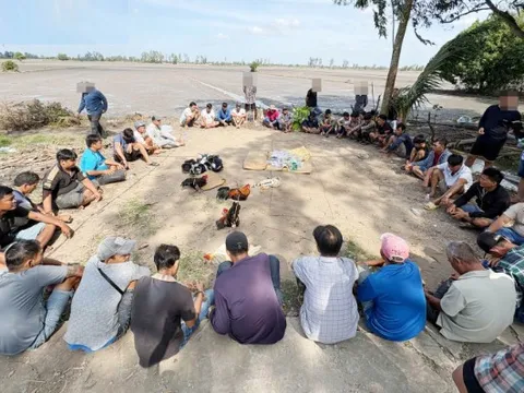 Công an triệt phá trường gà, tạm giữ 23 đối tượng để điều tra