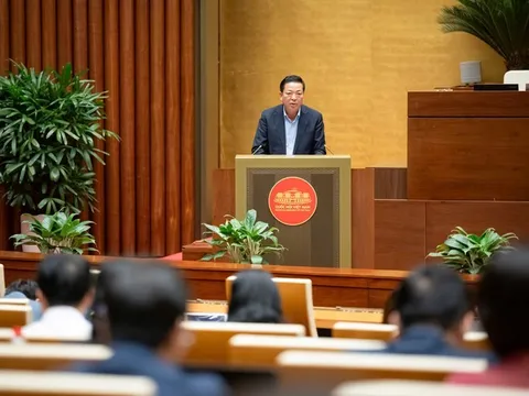 Chuyến bay bị chậm, bị hủy, hãng hàng không bảo đảm việc ăn, nghỉ, đi lại và chi trả các chi phí liên quan