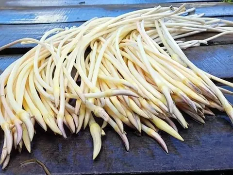 2 loại rau dễ là nơi “ổ ký sinh trùng” ẩn náu, nhất loại đầu bảng ngoài chợ có đầy