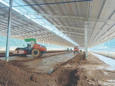 Thanh tra Chính phủ "điểm tên" 2 dự án nghìn tỷ chậm tiến độ ở Tuyên Quang