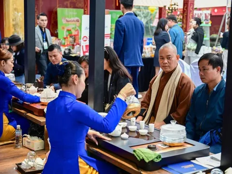 Liên hoan Trà quốc tế lần đầu tiên được tổ chức tại Huế