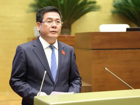 Trao thẩm quyền chấp thuận chủ trương đầu tư, mở đường cho phát triển điện gió ngoài khơi