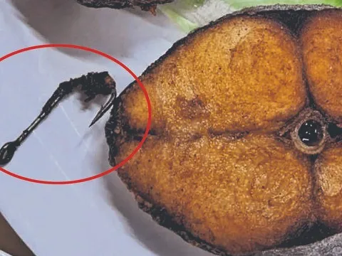 Đang ăn cá chiên, người phụ nữ phát hiện ra thứ đáng sợ