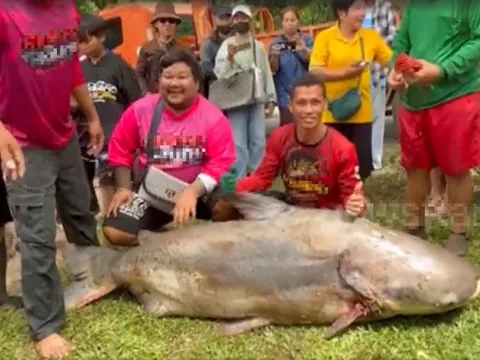 Người đàn ông bắt được “thủy quái” nặng 200kg trên sông
