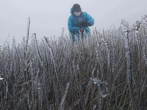 Dự báo thời tiết 14/12: Tin mới nhất về đợt không khí lạnh "lạ thường", dự báo thời điểm rét nhất