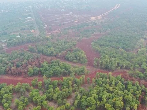 Gia Lai tìm nhà đầu tư cho dự án Sân Golf Đak Đoa hơn 1.150 tỷ đồng