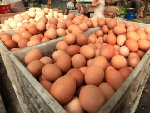 Hơn 10 người nhập viện nghi do ngộ độc trứng nhiễm khuẩn