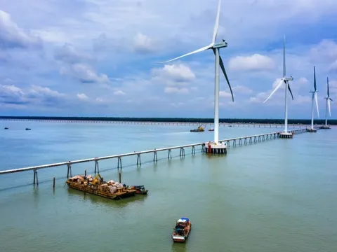 EVN khởi công, khánh thành 18 công trình dịp 19/12