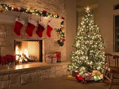 Câu chuyện "rùng mình" khi mang cây thông Noel thật vào nhà mùa Giáng sinh