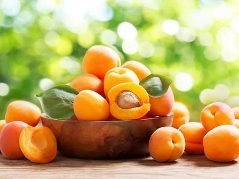 Vị thuốc của mùa Xuân từ loại quả "tốt nhất thế giới", Việt Nam trồng bạt ngàn