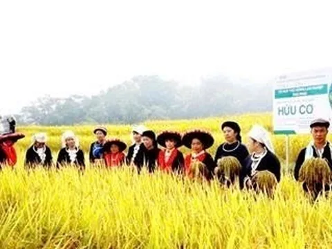 Nông nghiệp thông minh: Điểm sáng giảm nghèo ở Thái Nguyên
