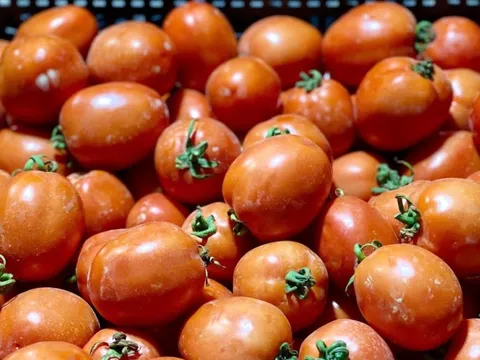 Thứ quả từng "rẻ như cho" nay khiến người mua choáng váng vì giá đắt đỏ