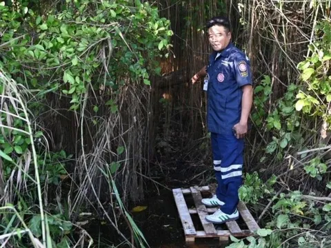 Đi câu cá, ngư dân phát hiện ra cảnh tượng đáng sợ trong bụi cây