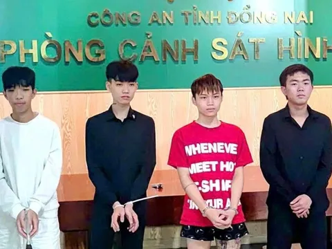 Trách nhiệm hình sự của 4 đối tượng ném vỏ chai bia gây chết người ở Đồng Nai