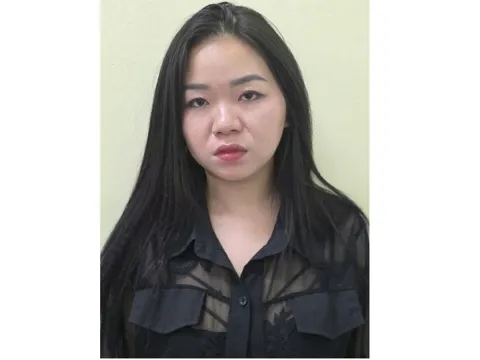 Bắt giữ nữ 9X môi giới mại dâm với giá hàng triệu đồng