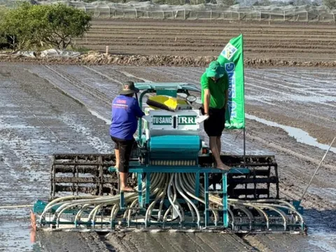 Cần Thơ quyết liệt triển khai Đề án 1 triệu ha lúa, hướng tới sản xuất xanh, phát thải thấp bền vững