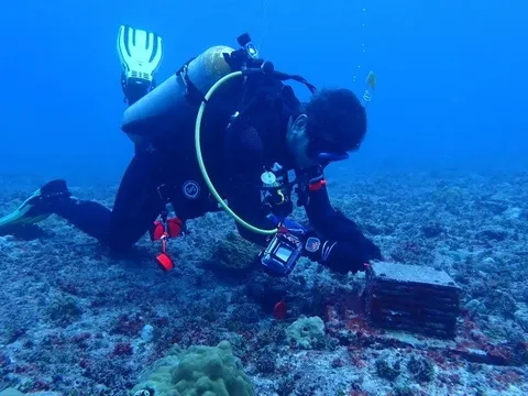 20 loài mới được phát hiện dưới đáy đại dương