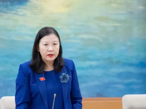 Nhiều người bị lừa đảo, bỗng dưng thành giám đốc công ty