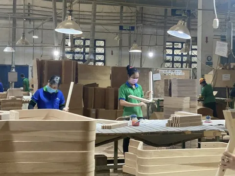 Nhãn hiệu 'Gỗ Việt Nam': Nâng tầm ngành lâm nghiệp