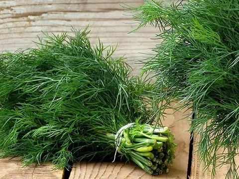 2 loại rau gia vị được ví như "vị thuốc xanh" cho cơ thể