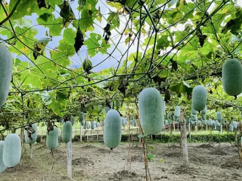 Giảm nghèo về thông tin: Dấu ấn đồng hành của doanh nghiệp tại Thái Nguyên