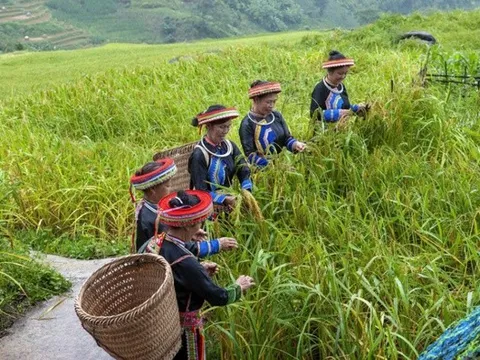 Truyền thông giảm nghèo ở Thái Nguyên: Hiệu quả thực chất và định hướng giai đoạn 2026–2030
