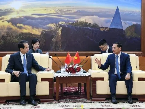 Phó Thủ tướng Bùi Thanh Sơn tiếp Đại sứ Trung Quốc Hà Vĩ