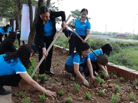 Năm 2026 trên địa bàn toàn thành phố Hà Nội sẽ trồng mới hơn 400.000 cây xanh các loại