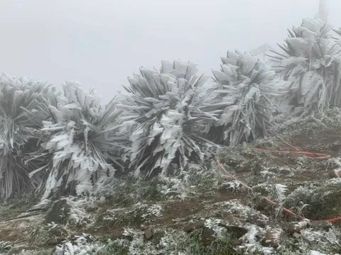 Miền Bắc trời chuyển rét, vùng núi rét đậm, rét hại