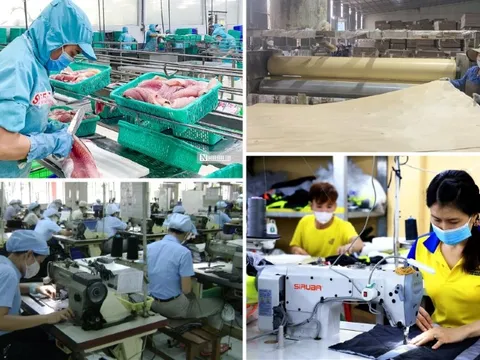 Quyết liệt thực hiện 3 đột phá chiến lược để phát triển kinh tế tư nhân