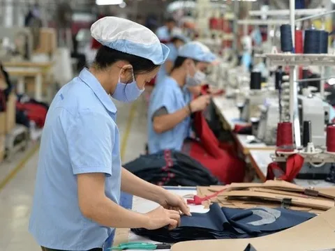 Thưởng Tết năm 2026: Người nhận hơn 600 triệu đồng, người ngậm ngùi chưa được 1 triệu đồng