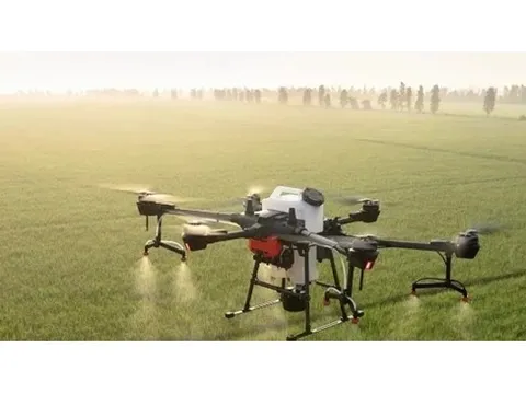 Ban hành Danh mục thuốc bảo vệ thực vật được phép và cấm sử dụng tại Việt Nam