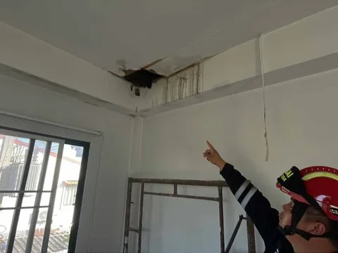 Đang sửa trần nhà, người phụ nữ phát hiện ra thứ đáng sợ
