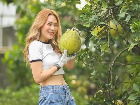 Thành quả không ngờ bên trong nhà vườn của Mỹ Tâm sau 4 năm