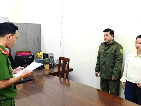 Triệt phá đường dây buôn lậu tôm hùm giống trị giá gần 6,8 tỷ đồng