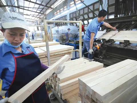 Ngành Gỗ vượt khó, tạo giá trị kỷ lục