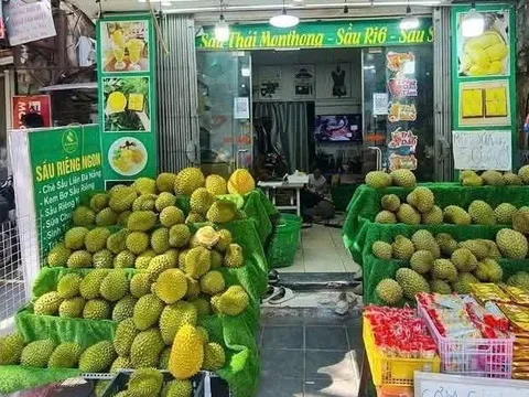 Chuẩn hóa sản xuất sầu riêng: Câu chuyện của sản phẩm đi đầu