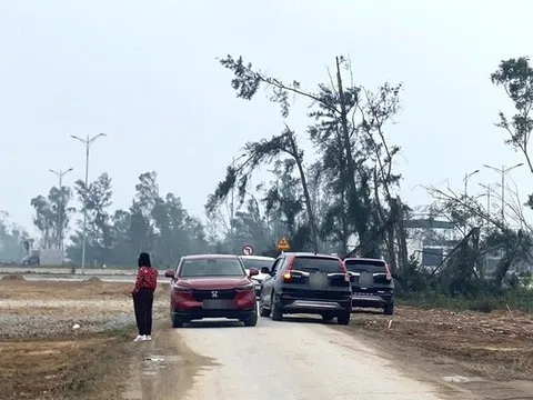 Quay cuồng theo cơn "sốt đất ảo"