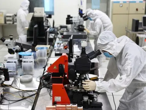 Xây dựng Mạng lưới chuyên gia AI Việt toàn cầu